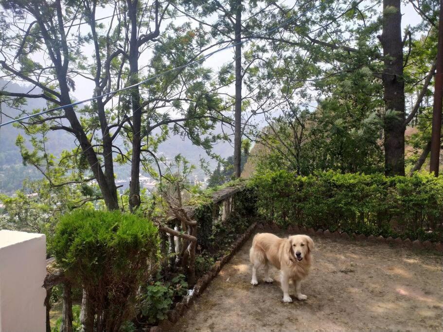 Whistling Thrush Cottage, Bhimtal Nainital Ngoại thất bức ảnh
