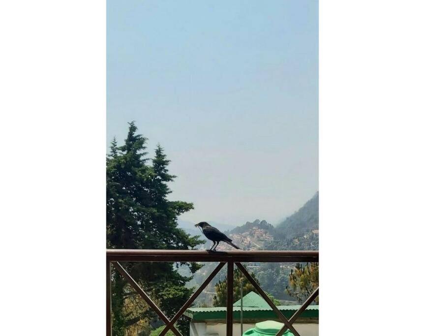 Whistling Thrush Cottage, Bhimtal Nainital Ngoại thất bức ảnh