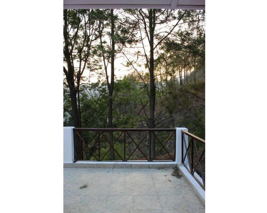 Whistling Thrush Cottage, Bhimtal Nainital Ngoại thất bức ảnh